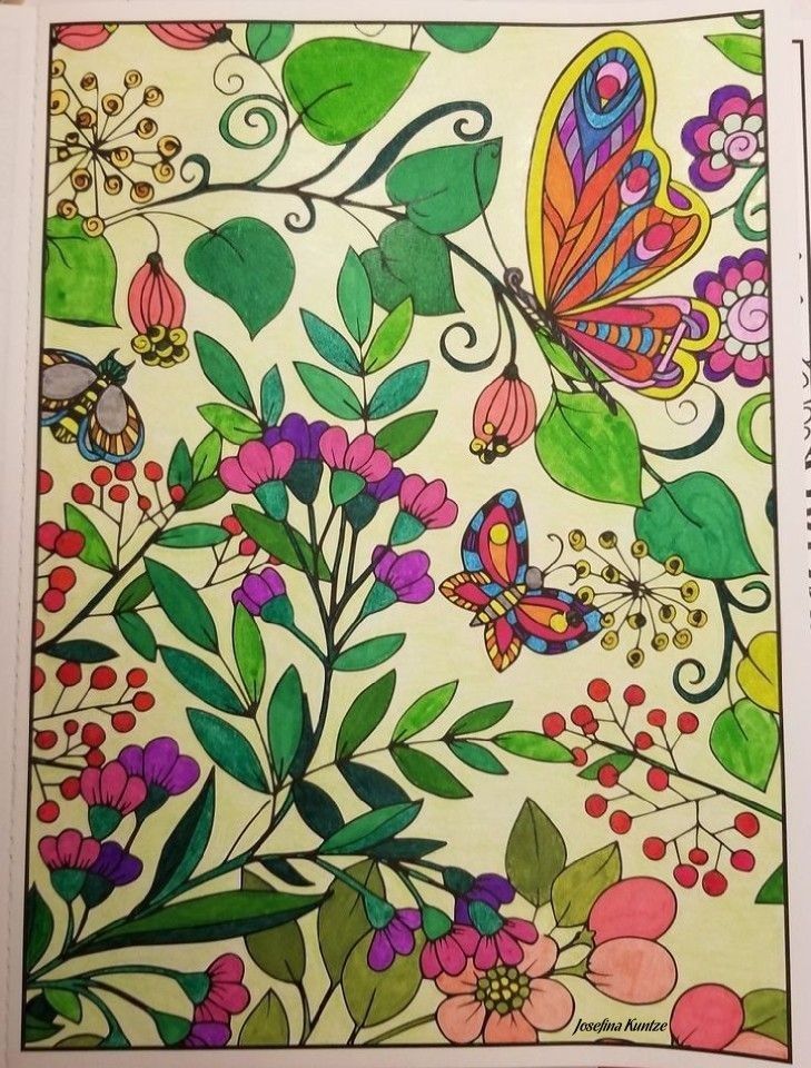 Colorful dreams e to life