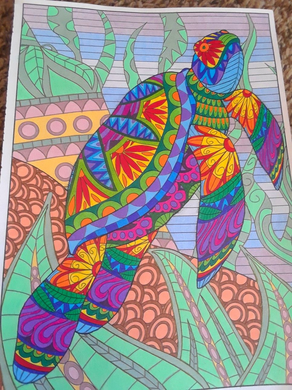 Timeless creations creatures of beauty by donna kay coloring books animal coloring books coloring book art