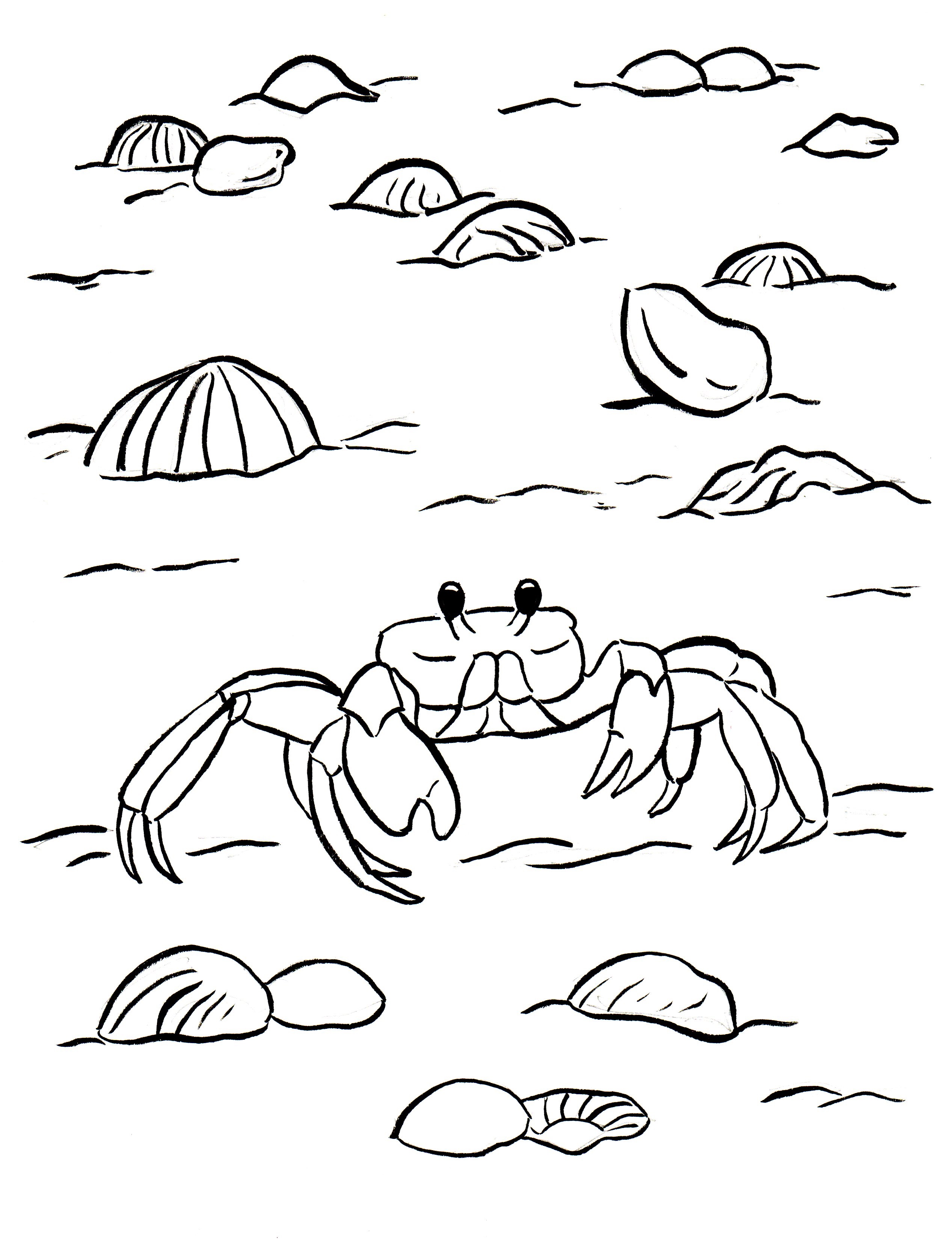 Ghost crab coloring page