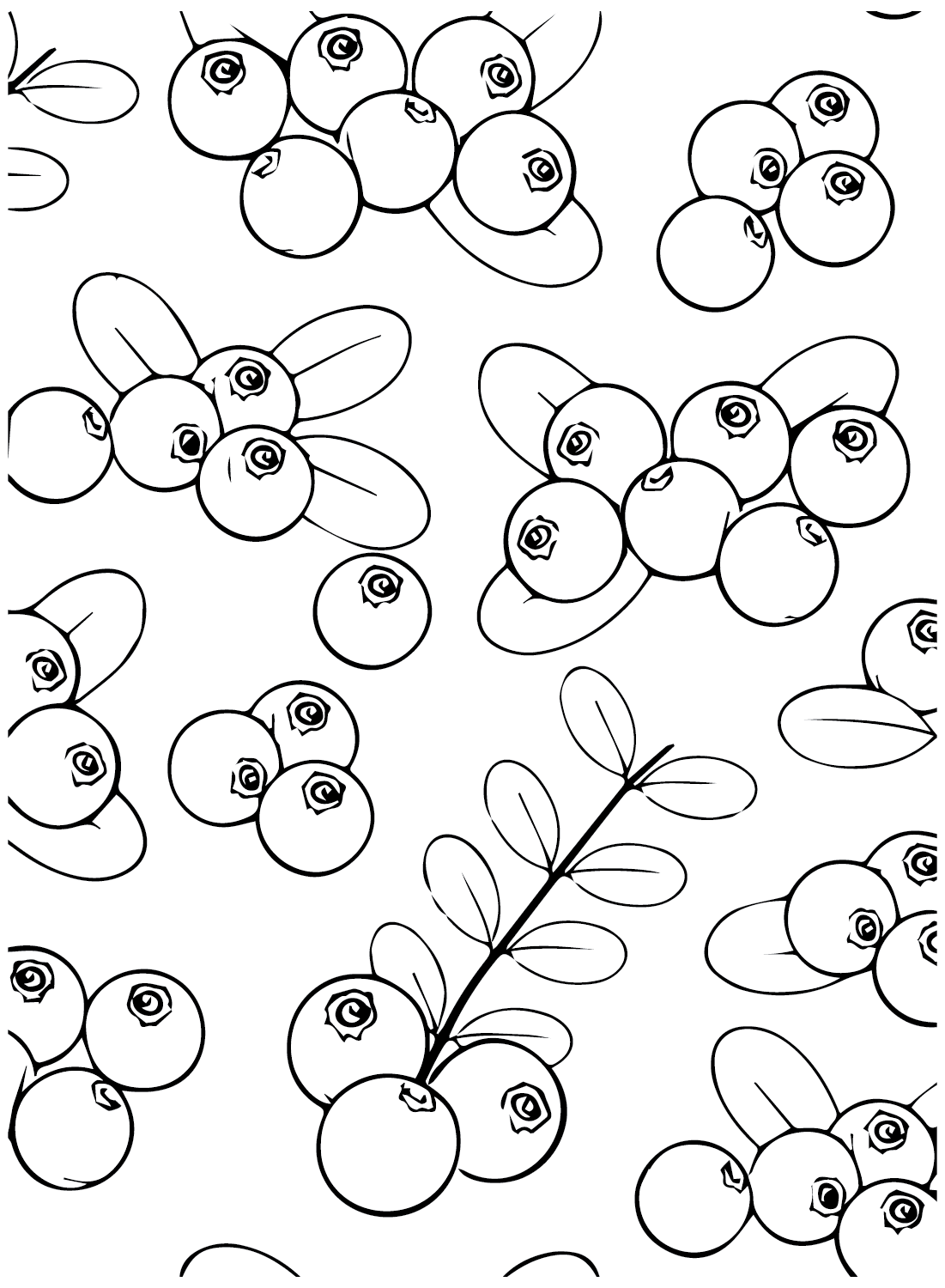 Cranberry coloring pages printable for free download