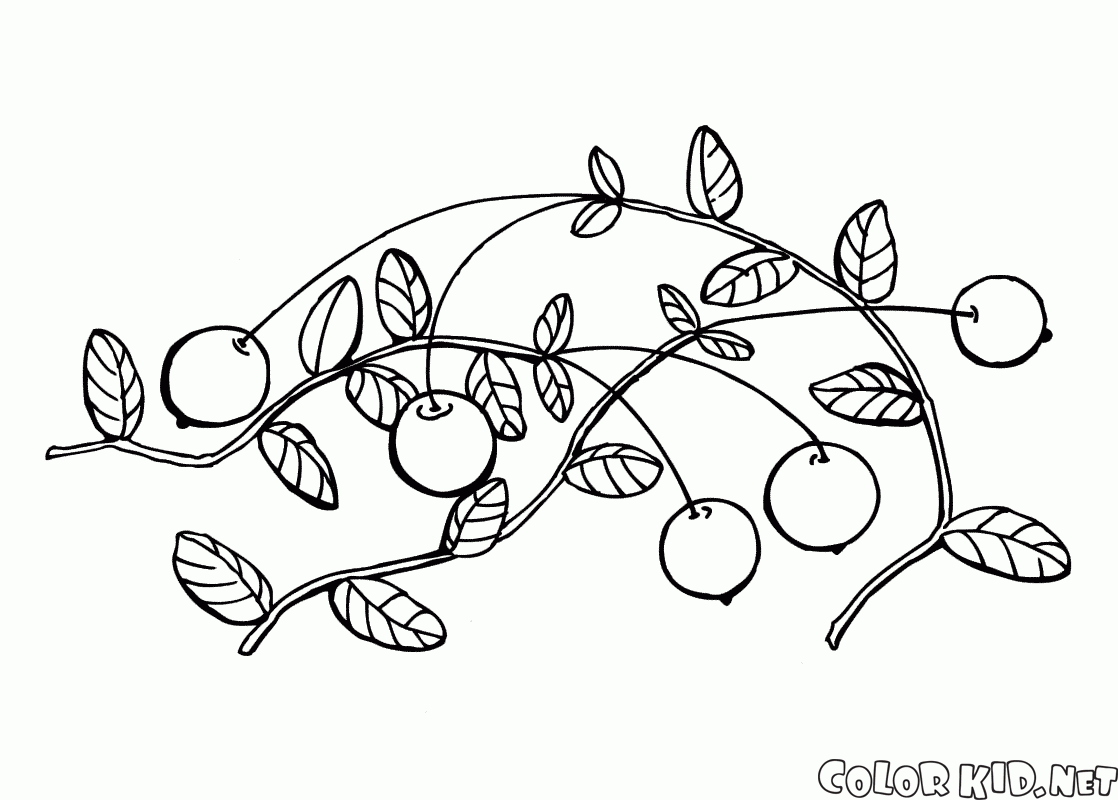 Coloring page