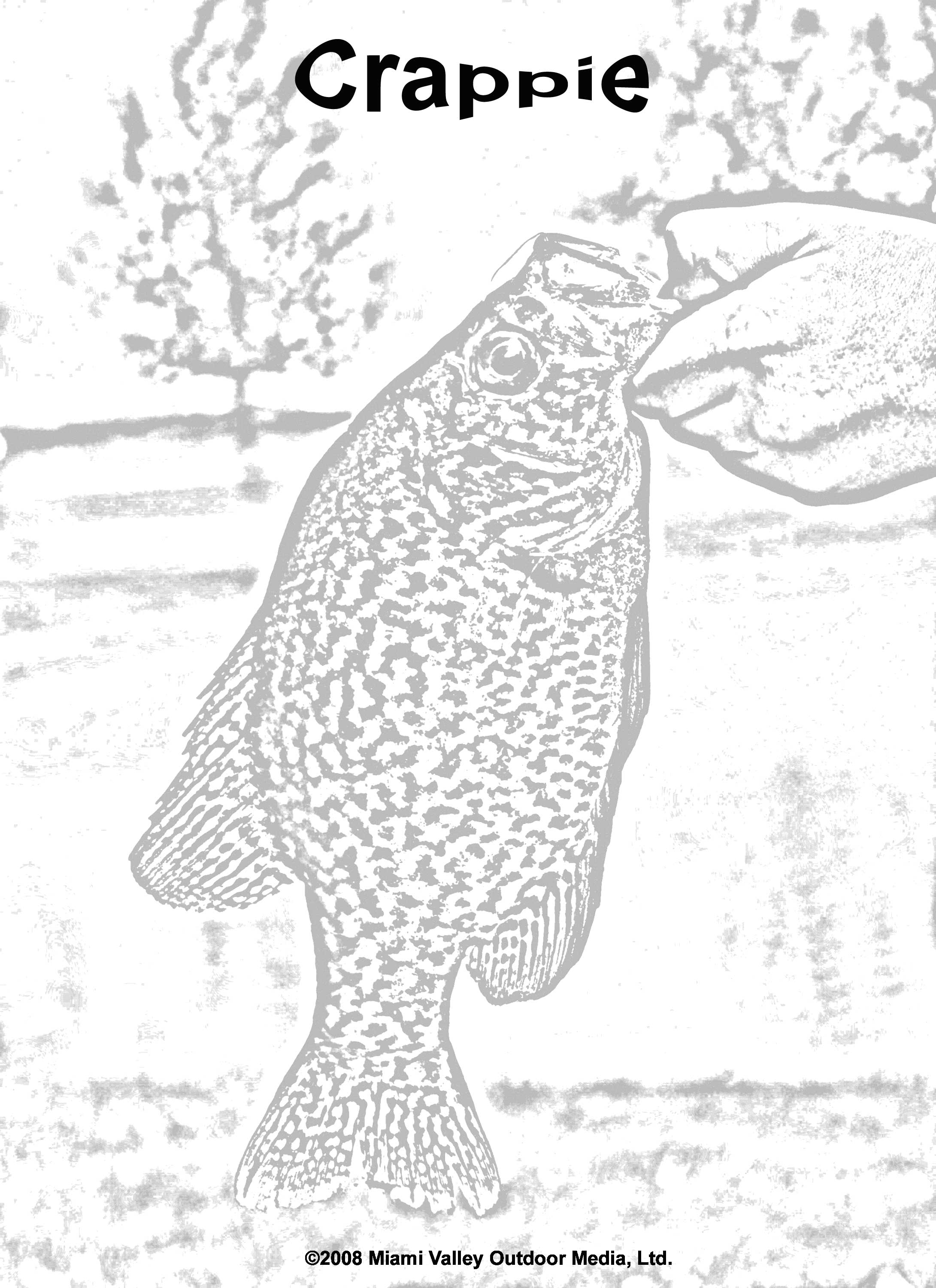 Coloring pages