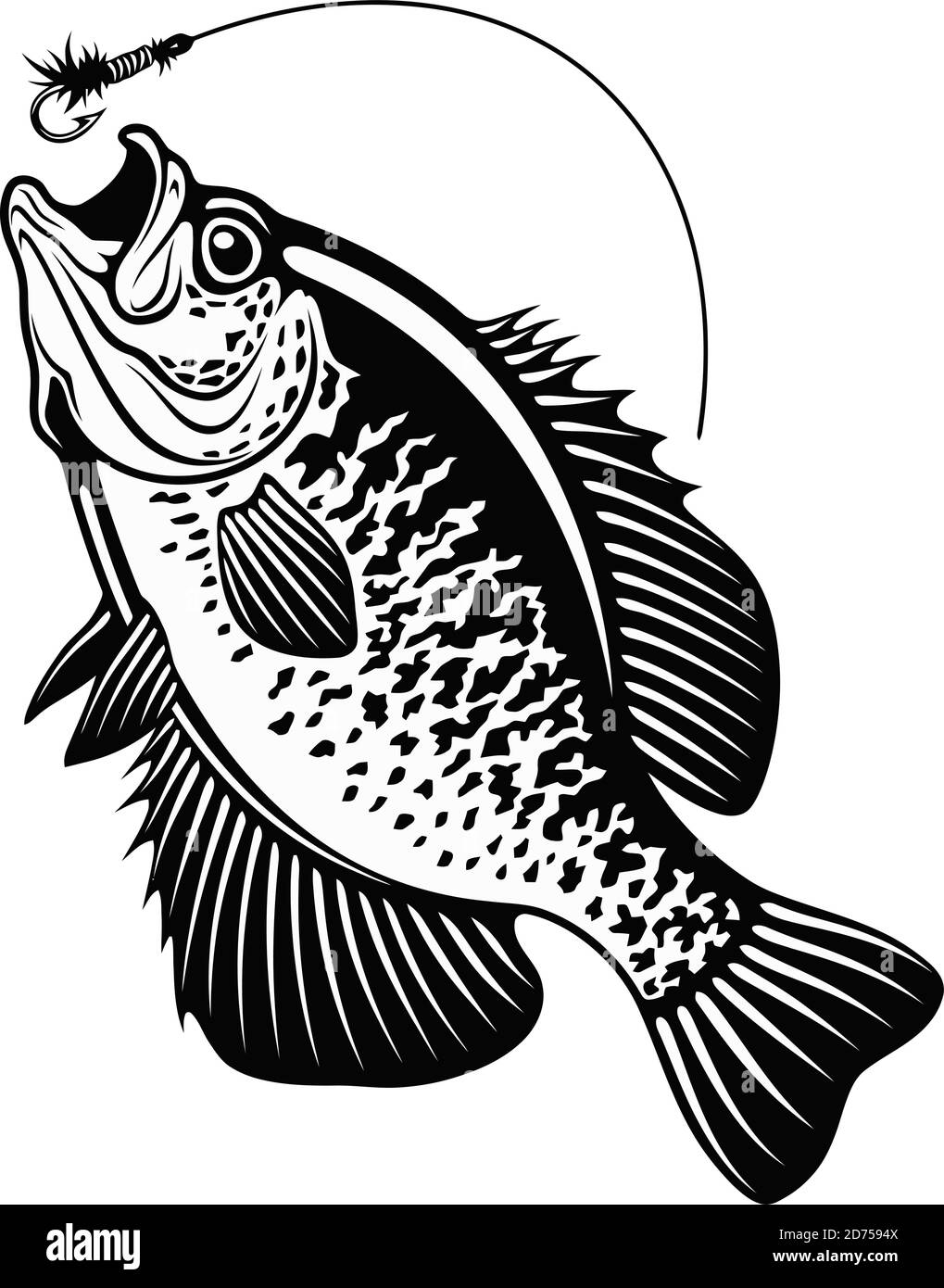 White crappie fish