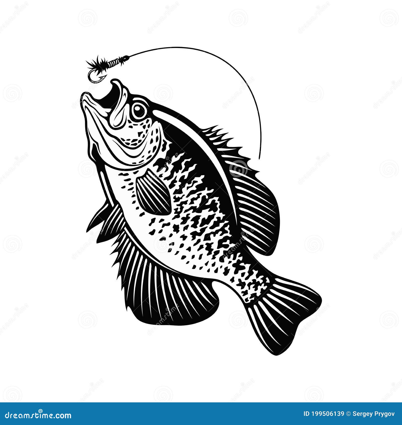 Crappie stock illustrations â crappie stock illustrations vectors clipart