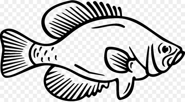 Free coloring book white crappie fish black crappie