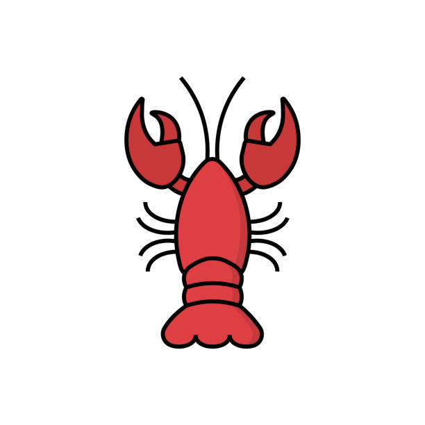 Boiled red crayfish crawfish illustrations royalty