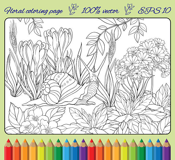 Coloring page of snail crawling through grass stock illustration
