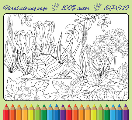 Coloring page of snail crawling through grass stock illustration