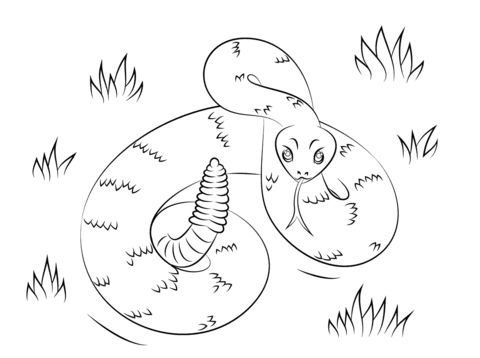 Rattlesnake coloring page malvorlagen tiere cobra kunst klapperschlange