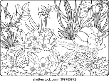 Coloring page closeup view snail crawling vector de stock libre de regalãas