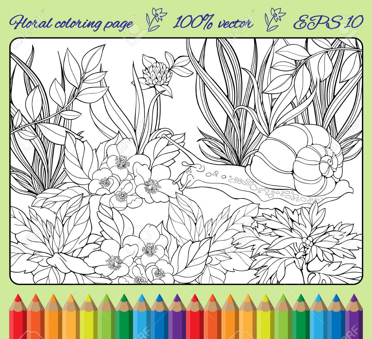 Coloring page of close
