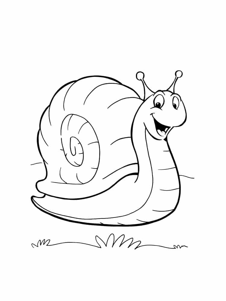 Drawing of a snail laughing and crawling on the grass coloring page