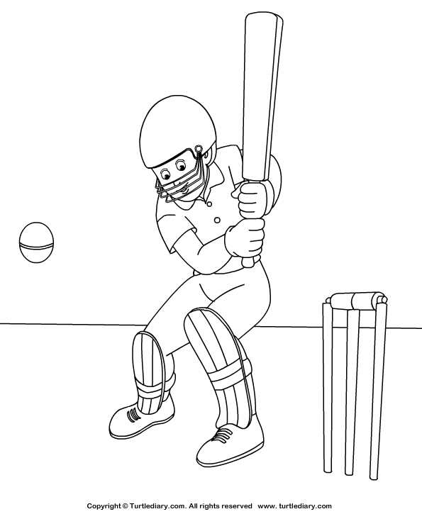 Cricket coloring sheet turtle diary