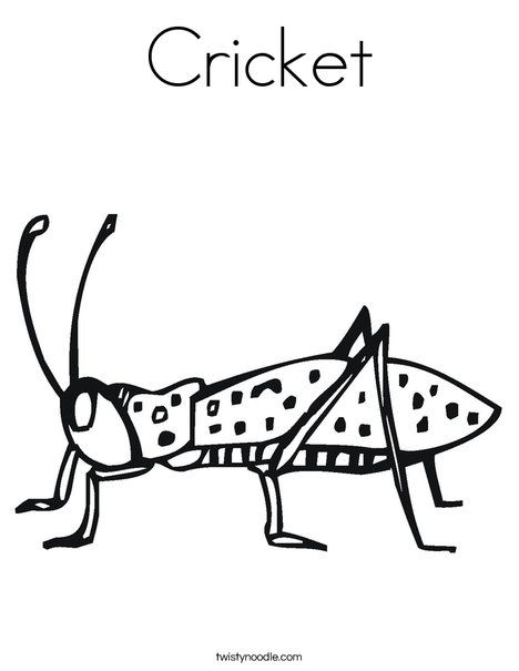 Cricket coloring page insect coloring pages animal coloring pages coloring pages