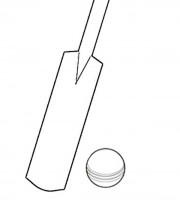 Top cricket coloring pages for your little ones coloring pages