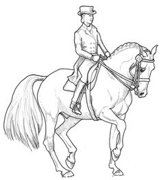 Cross country jumps ideas horse coloring pages horse coloring horse drawings