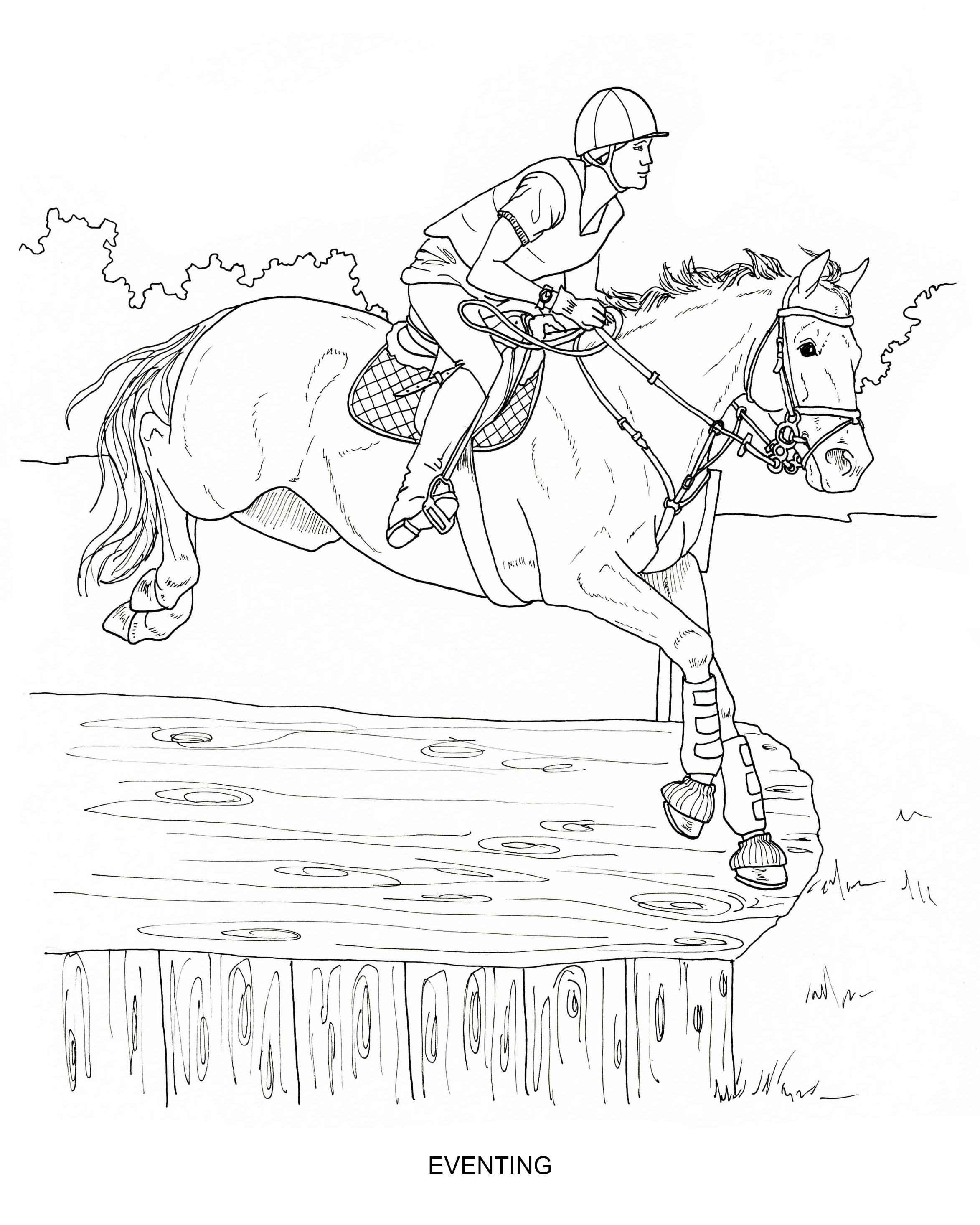 Printable coloring pages disciplines and jobs for horses pages of hand drawn horse illustrations