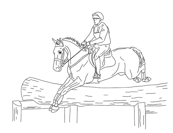 Cross country eventing horse royalty