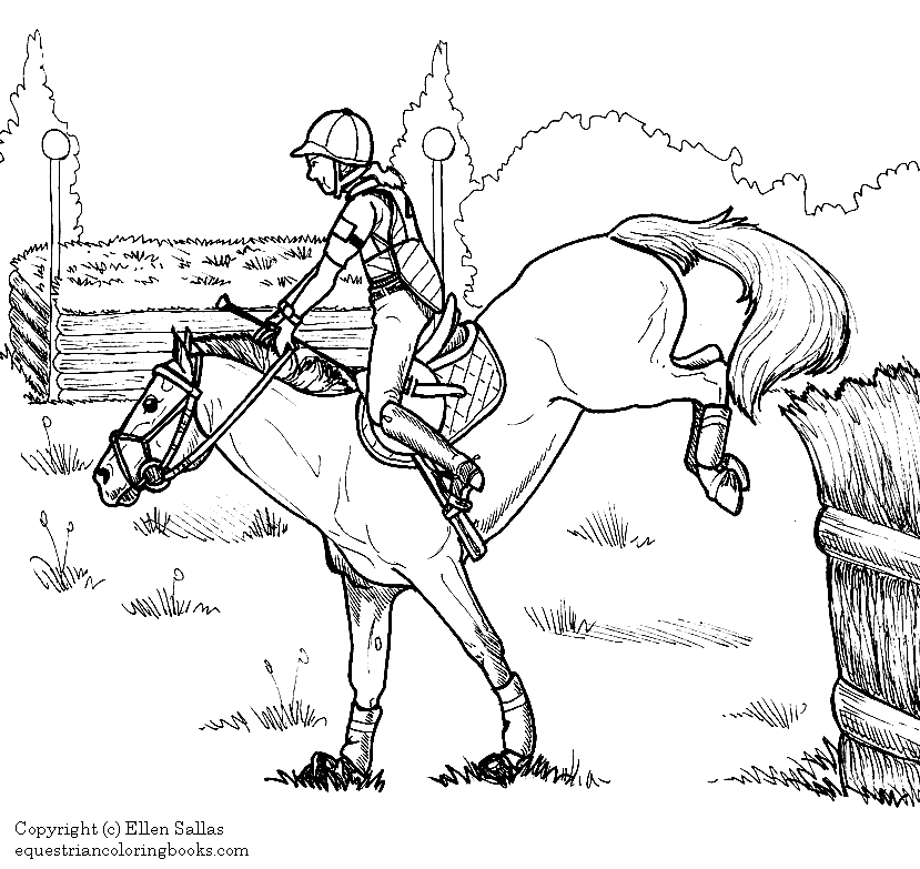 Equestrian sports coloring pages printable for free download