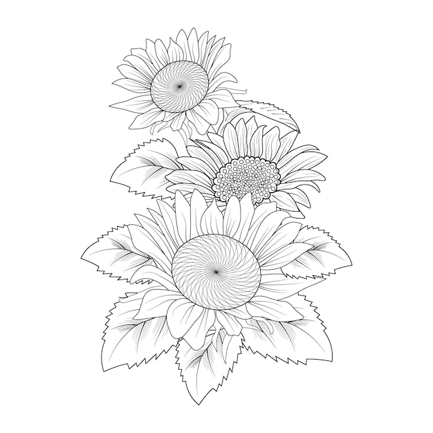 Premium vector bouquet of sun flower hand drawn tattoo engraved illustration ink sketch coloring page for adult