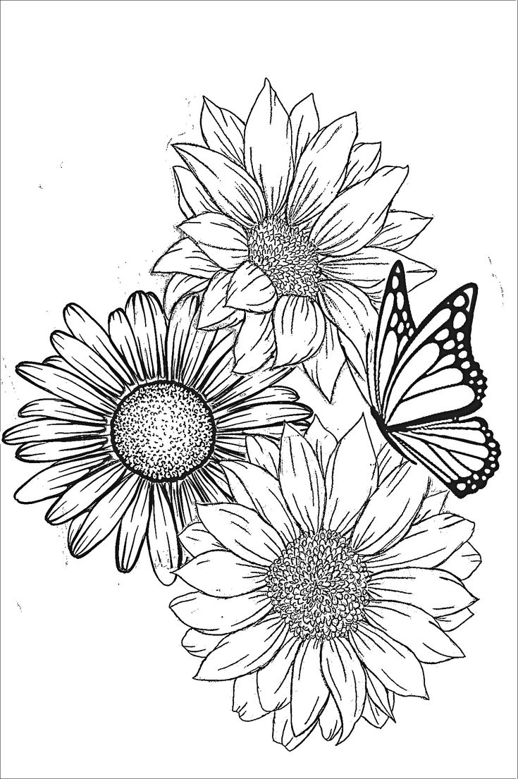Pin by brian moise on tattoo designs sunflower drawing flower drawing sunflower coloring pages