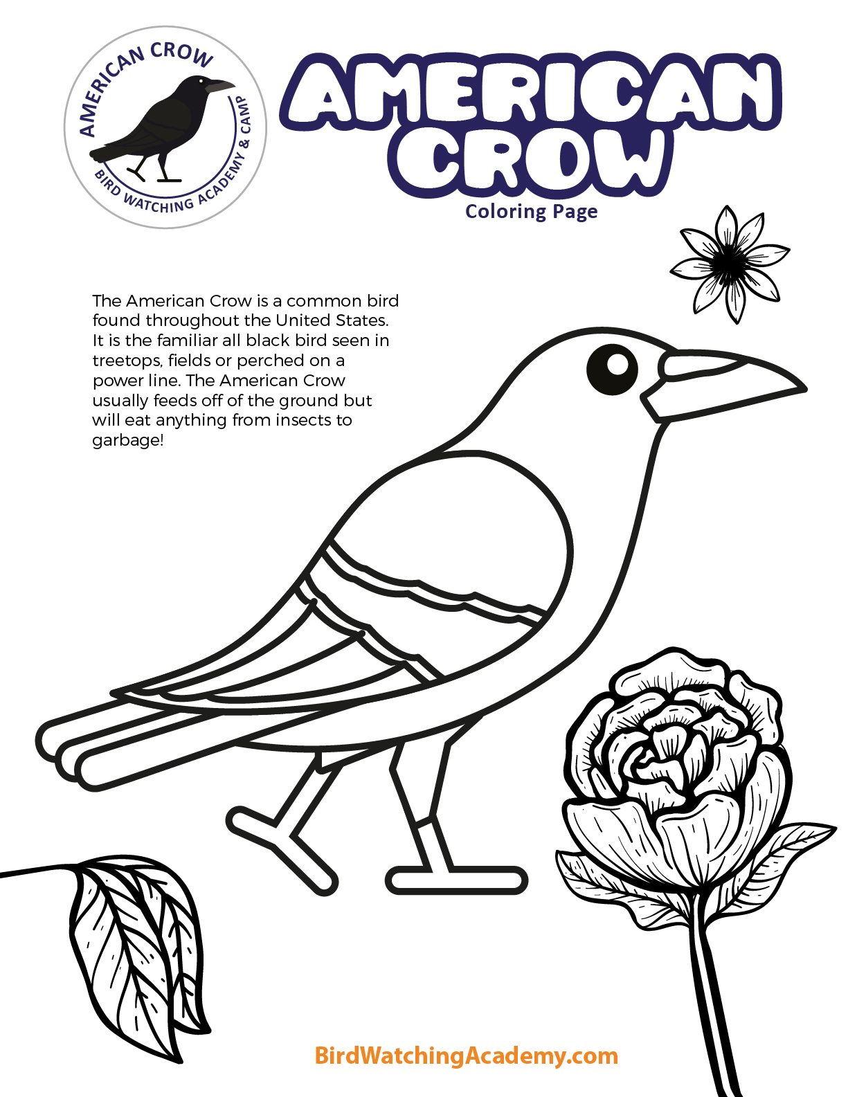 American crow coloring page
