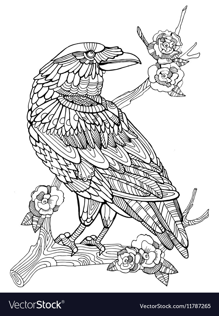 Crow bird coloring book for adults royalty free vector image