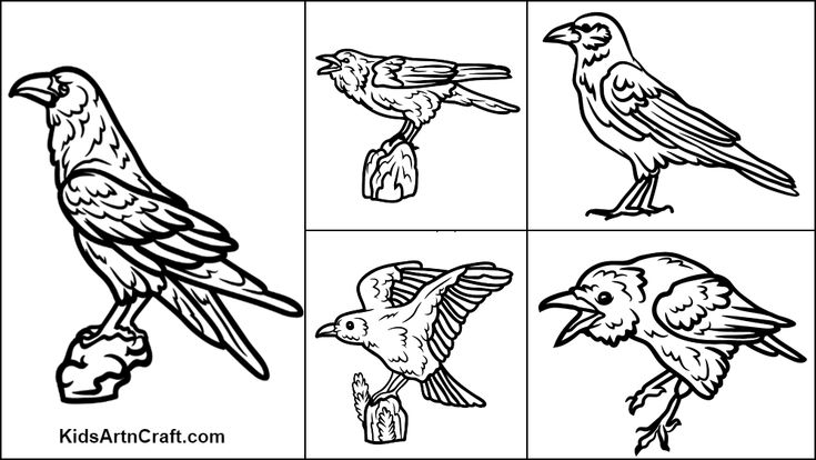 Crow colorg pages for kids â free prtables prtables free kids colorg pages for kids colorg pages
