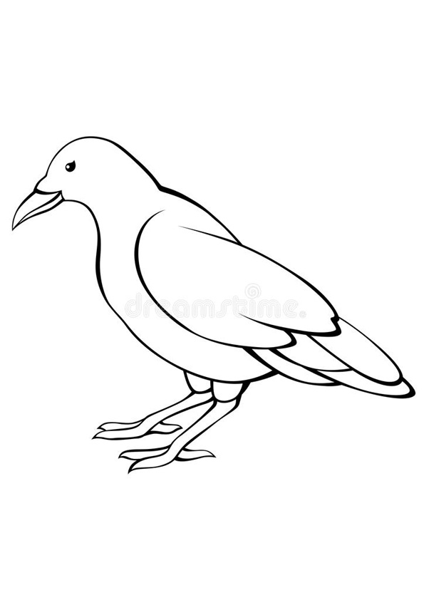 Coloring pages crow free printable coloring pages animals