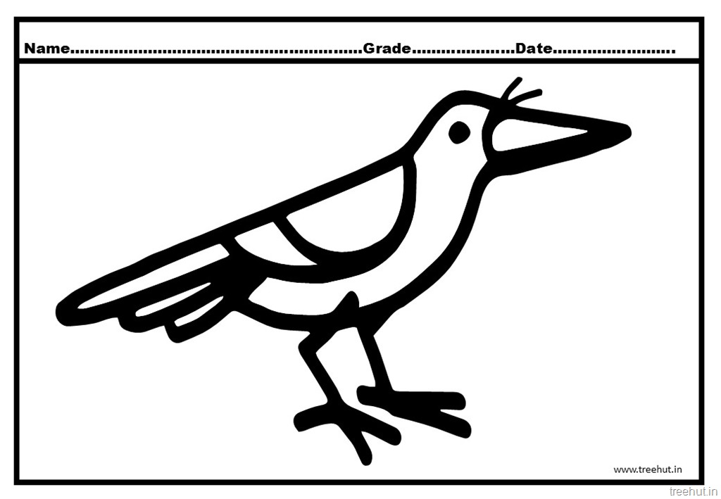Crow colorg pages