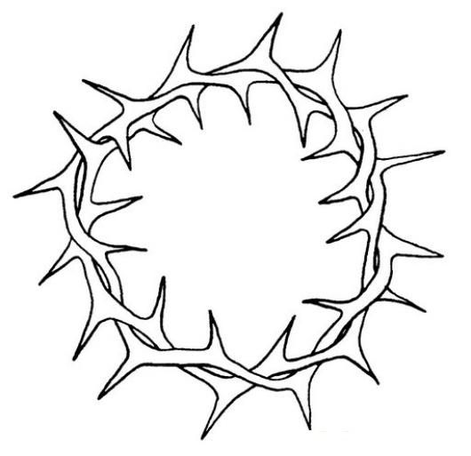 Coloring easter week coloring crown of thorns coloringchild coloring crown of thorns coloring pages graphic design cards