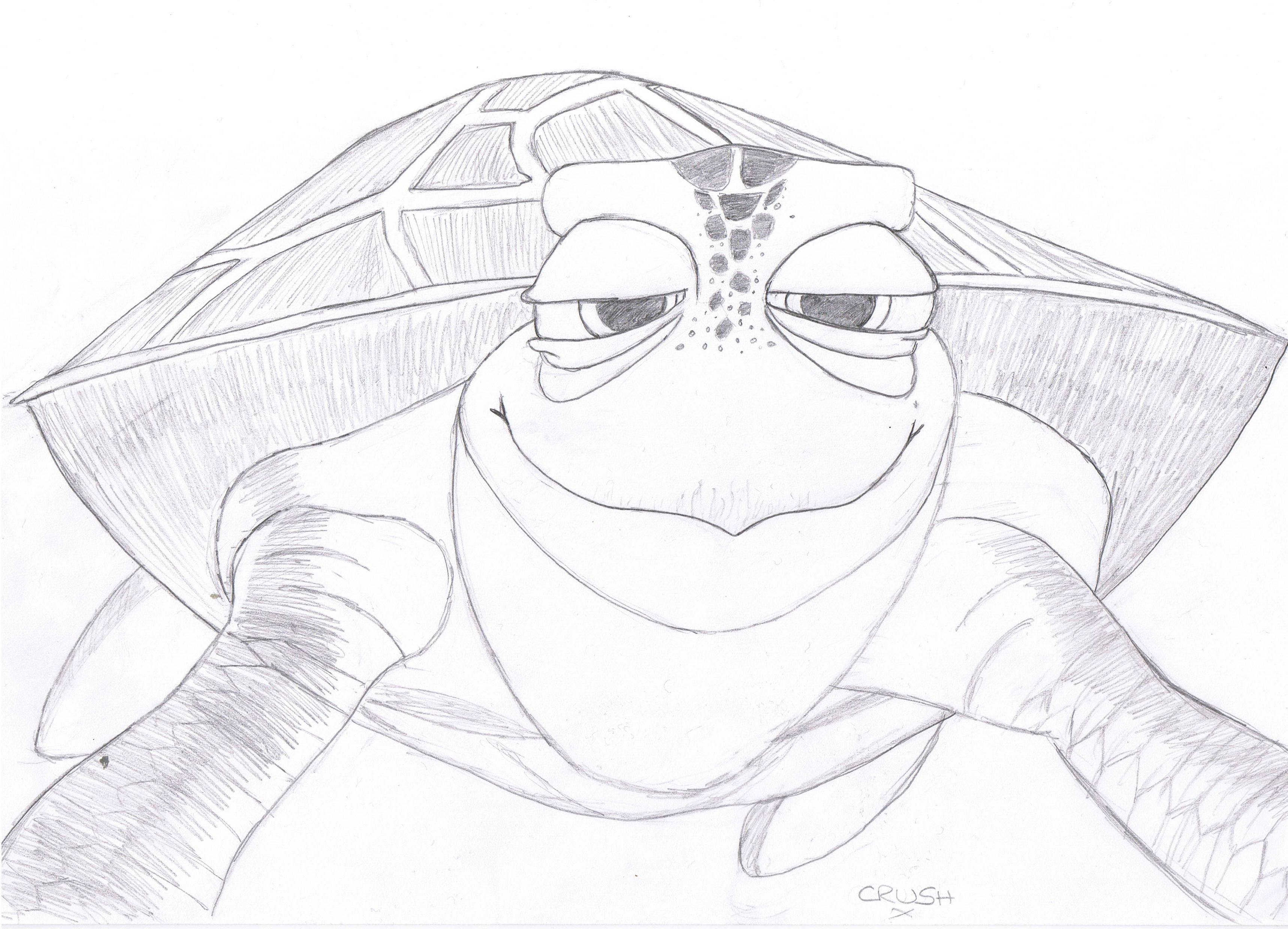 Crush from finding nemo by lziie on