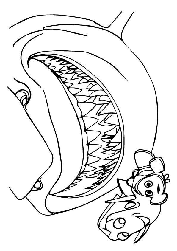 Free printable nemo happy coloring picture assignment sheets pictures for child
