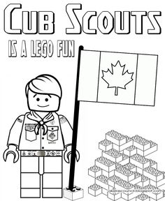 Cub scout