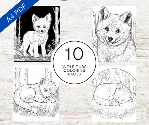 Baby wolf cubs coloring pages printable pdf pages a cute coloring sheets for stress relief relaxation