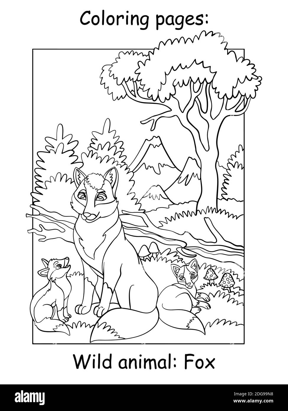 Vector coloring pages with cute fox mom and two cubs in mountain area cartoon contour illustration isolated on white background for coloring book p stock vector image art