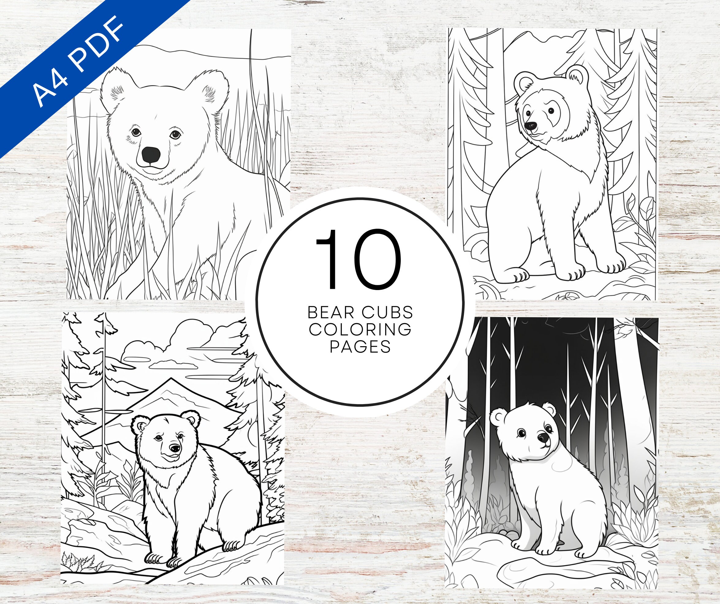 Baby bear cubs coloring pages printable pdf a adult