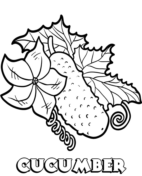 Cucumber coloring page with name