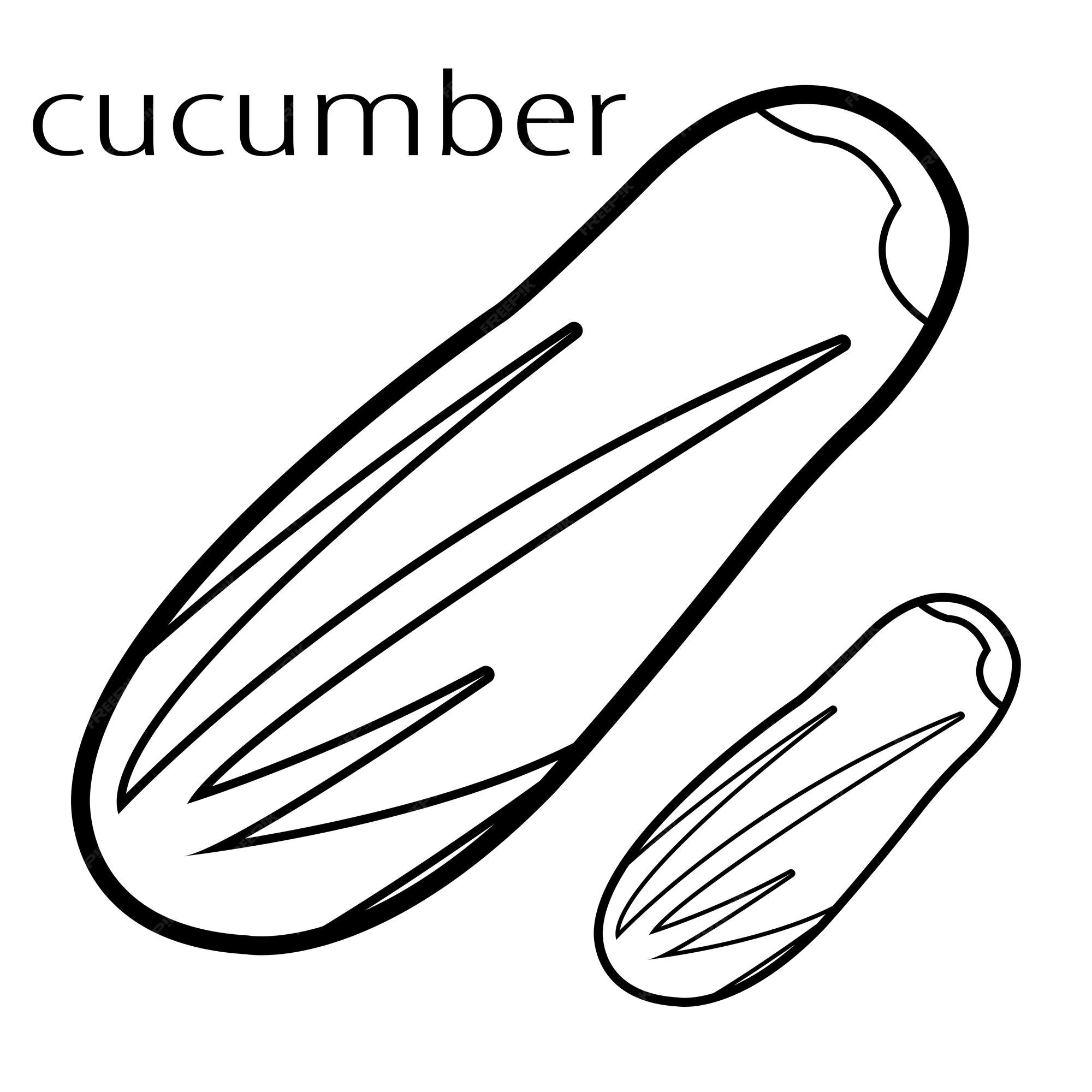 Premium vector coloring pages cucumber