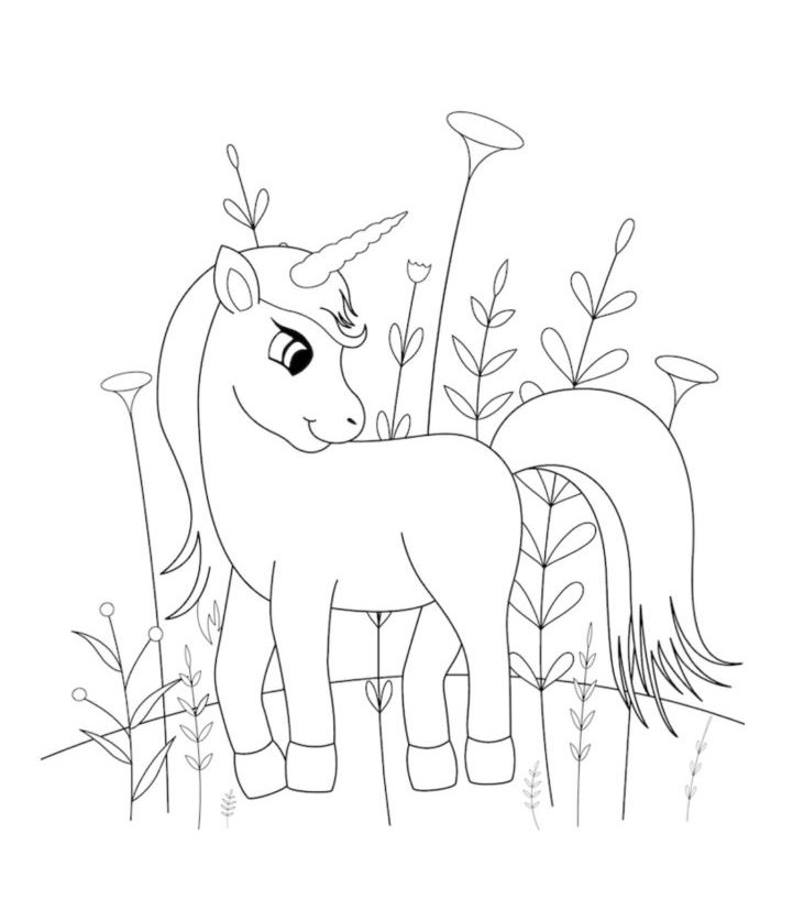 Unicorn coloring pages pdf unicorn coloring pages sheet