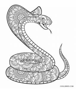 Pin en animales