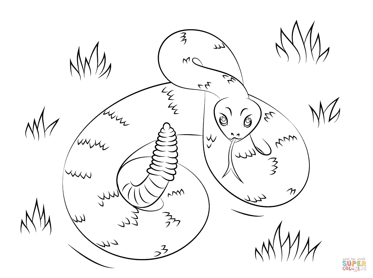 Dibujo de serpiente cascabel para colorear dibujos para colorear imprimir gratis