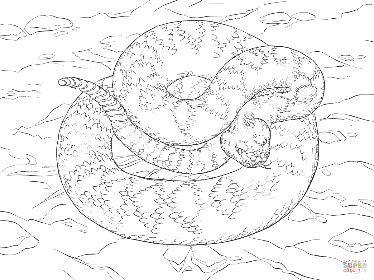 Eastern diamondback rattlesnake coloring page free printable coloring pages