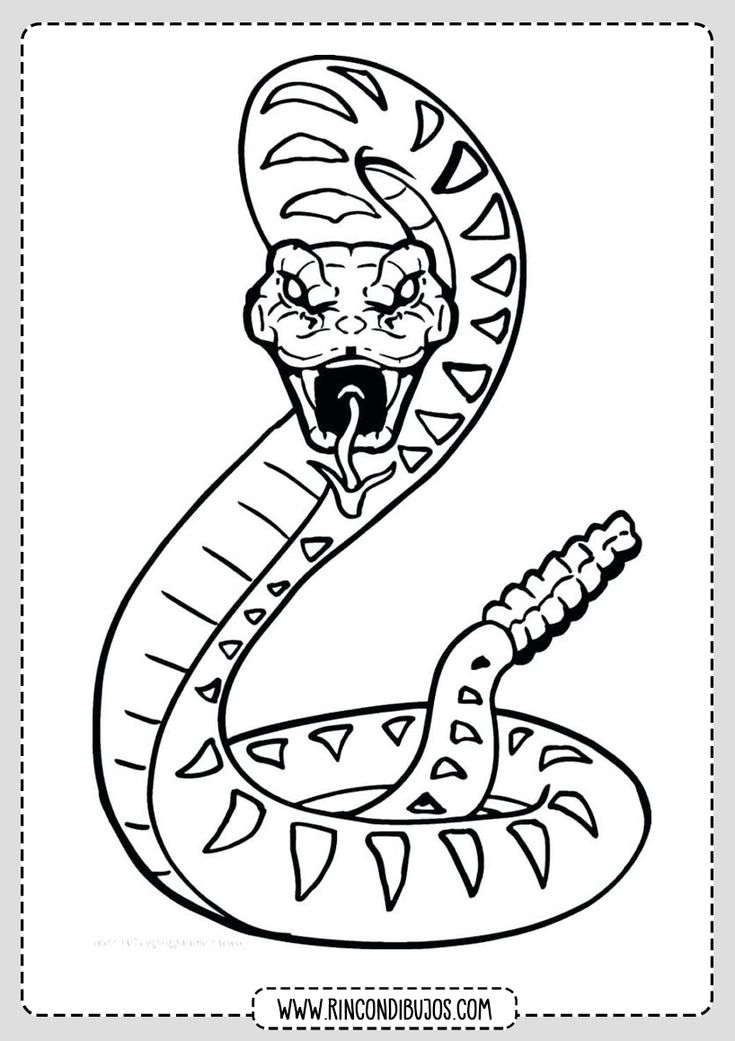 Pin en dibujos de serpientes