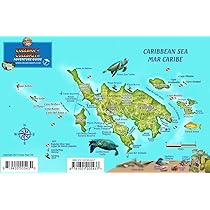 Culebra puerto rico dive map coral reef creatures guide franko maps laminated fish card franko maps ltd books