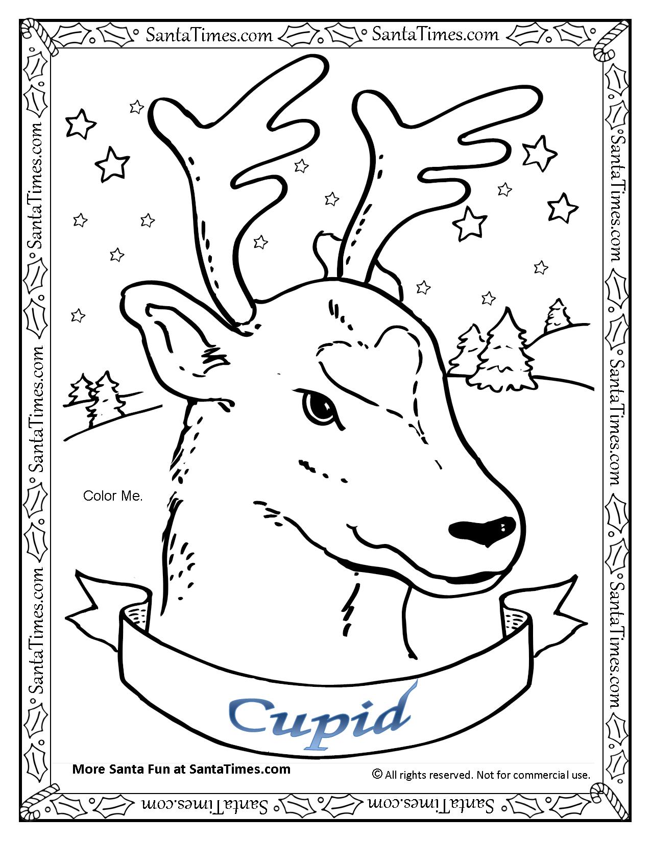 Cupid the reindeer