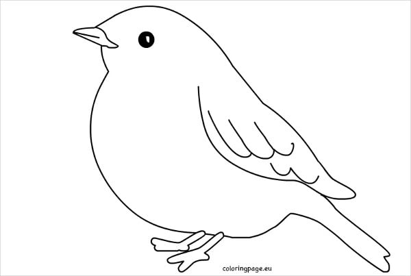 Printable bird s