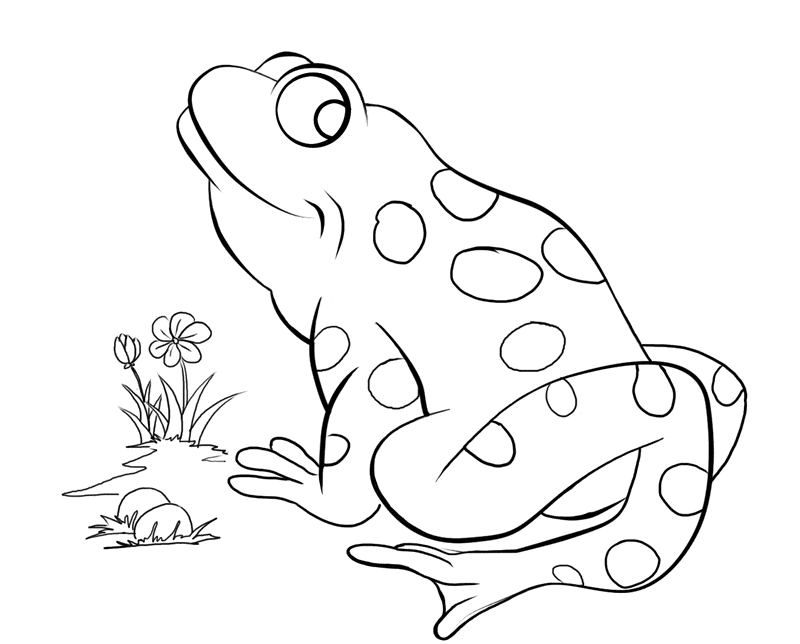 Frog coloring pages drawings