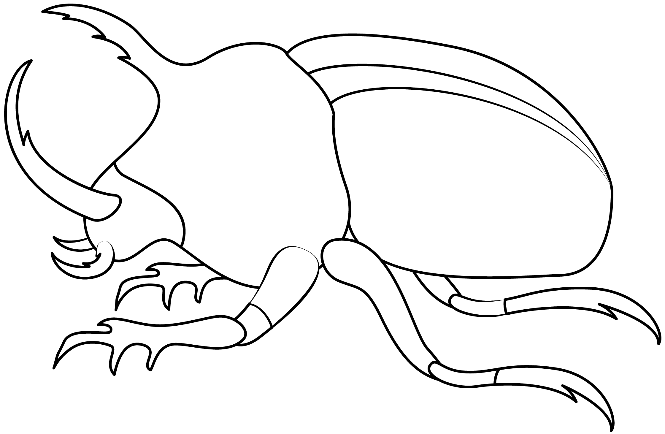 Bug printable template free printable papercraft templates
