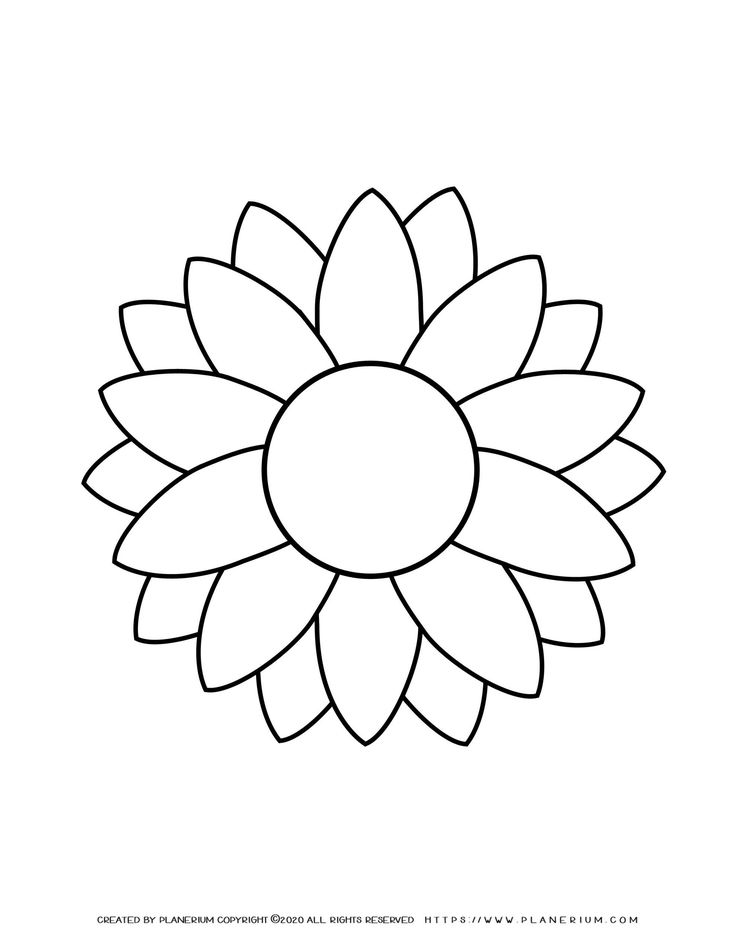 Sunflower outline template